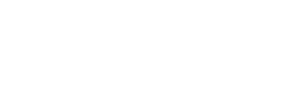 sonet團隊